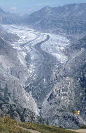 Blick vom Aletschbord auf den Grossen Aletschgletscher, Sommer 1981