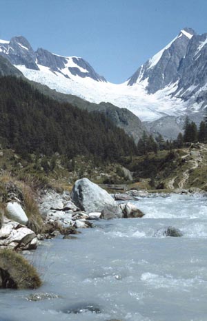 Langgletscher mit Sattelhorn (3745 m), Lötschental, Sommer 1981