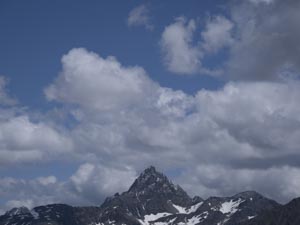 Auf dem Cuolm da Latsch (2295 m) mit Piz Kesch (3418 m), Albulatal, Graubünden, 14.7.2019